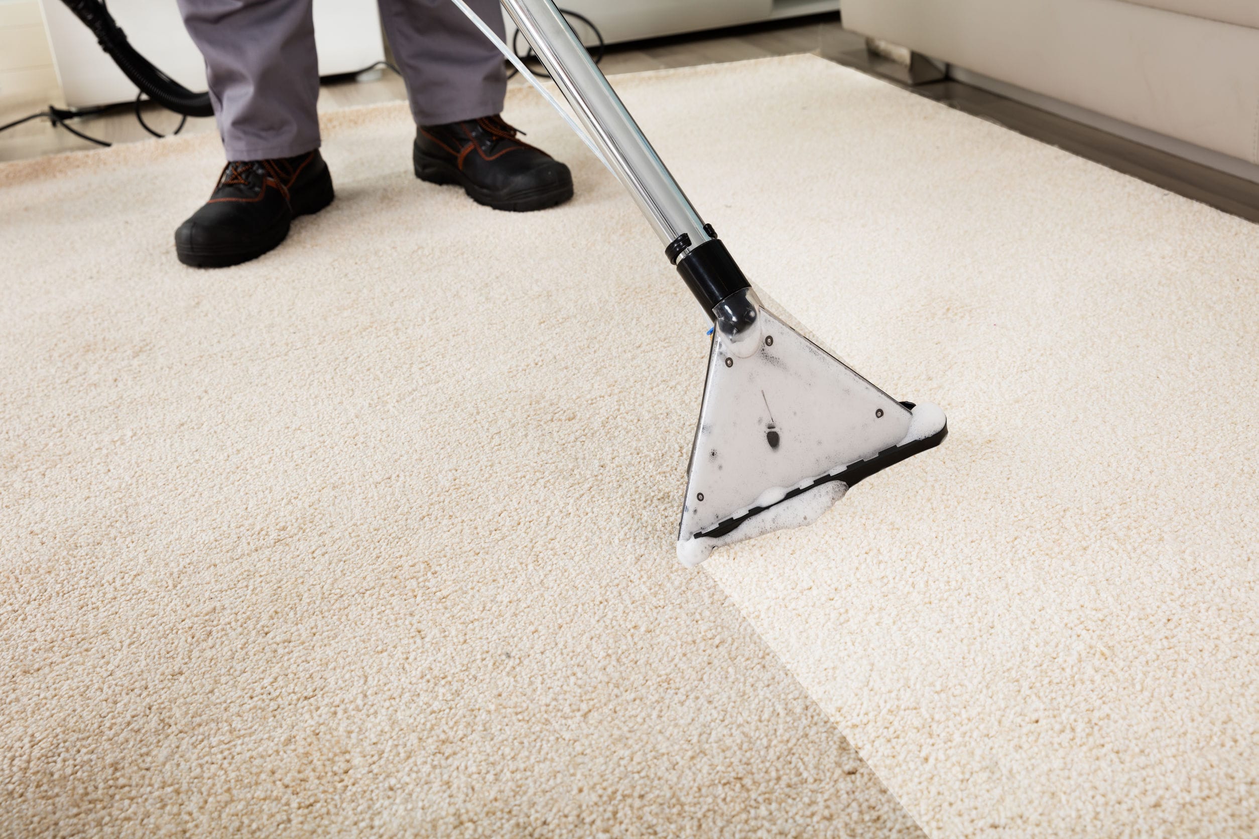 Expert Carpet Cleaning